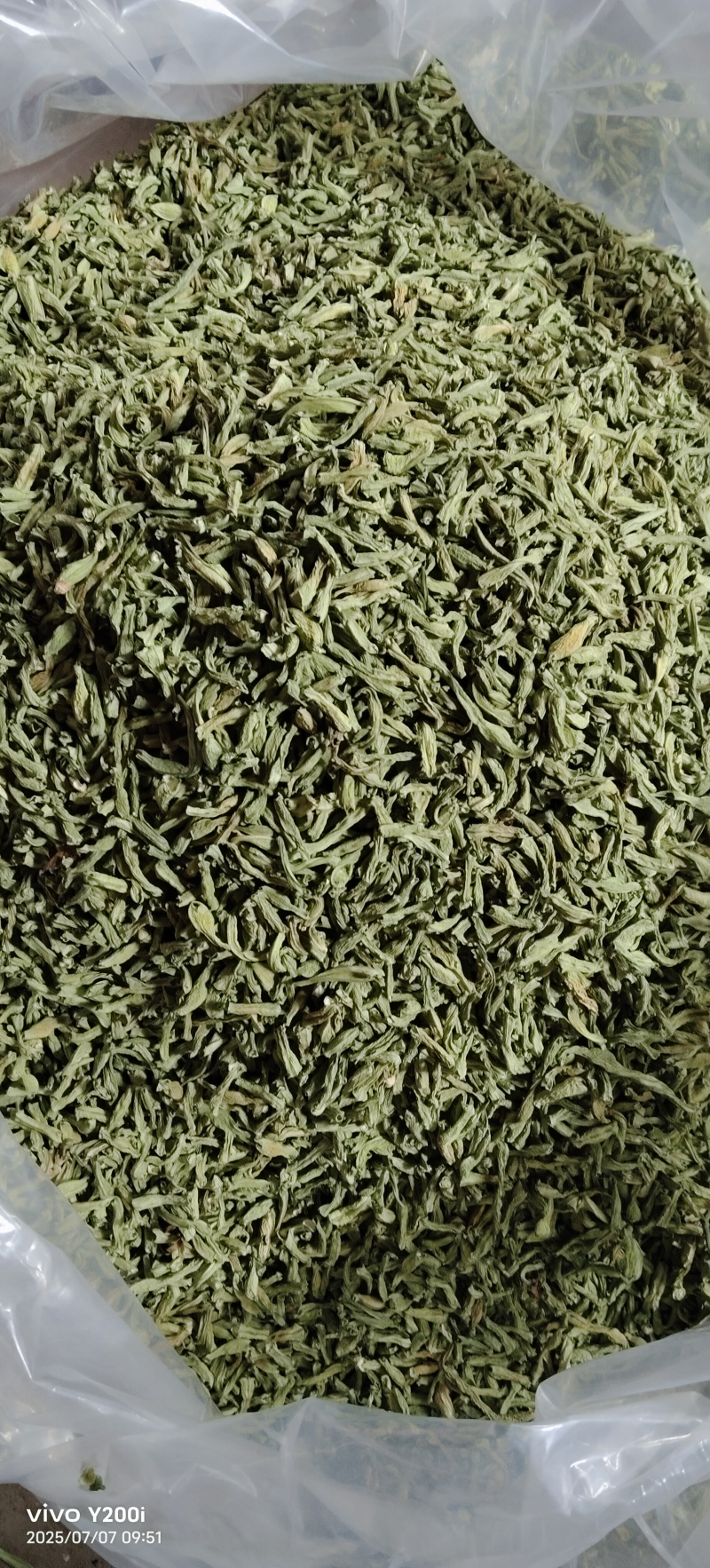 豆角颗粒干豆角段低温烘干/源头工厂/产地直发
