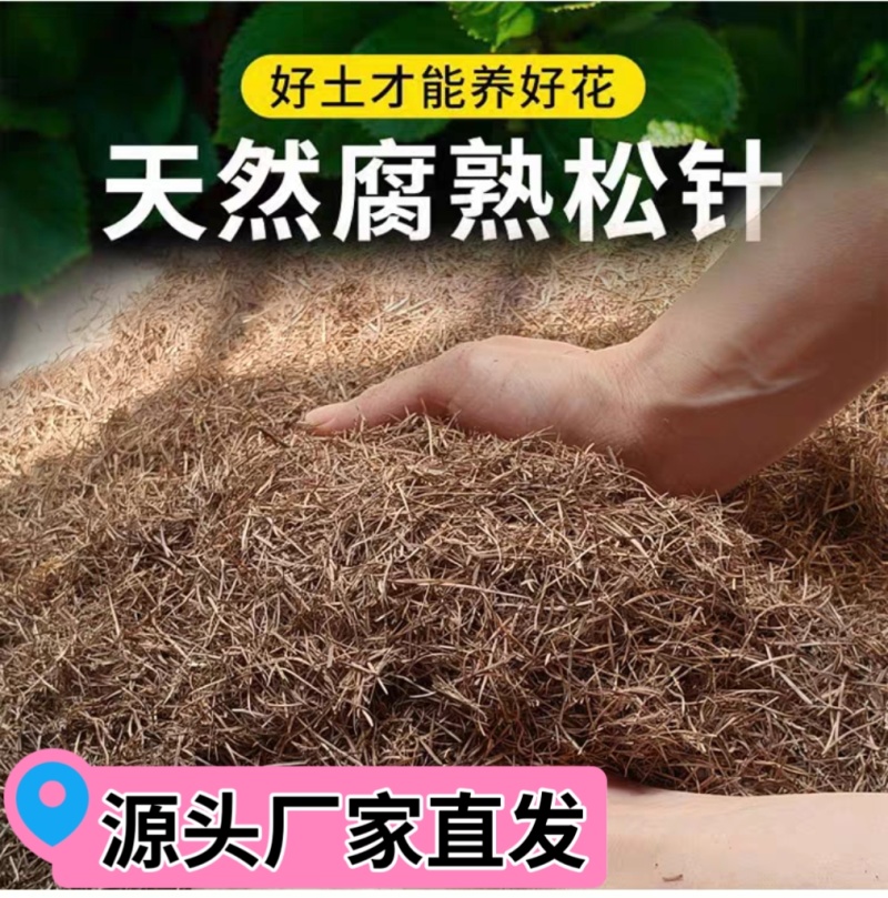 天然腐熟松针/纯松针/松毛/松针土/育苗基质