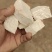 云南普洱云茯苓白茯苓大量供应诚信合作欢迎来电咨询