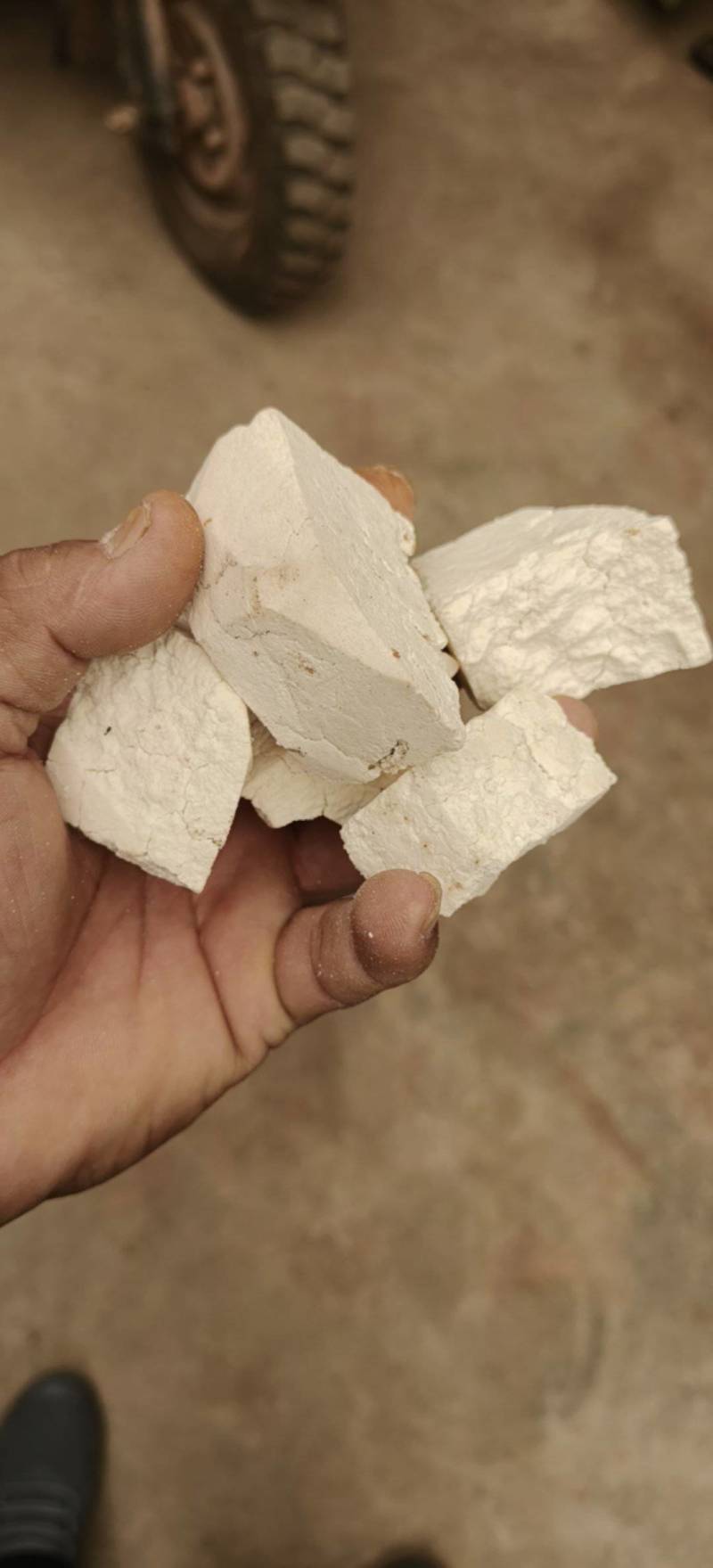 云南普洱云茯苓白茯苓大量供应诚信合作欢迎来电咨询