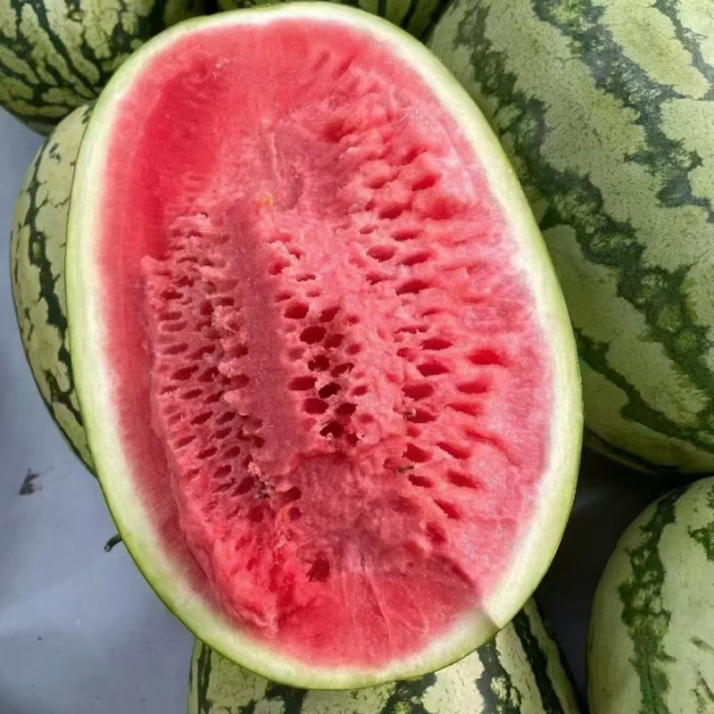 宁夏中卫硒砂瓜石头瓜个头大耐运输货源充足品质好包熟包甜