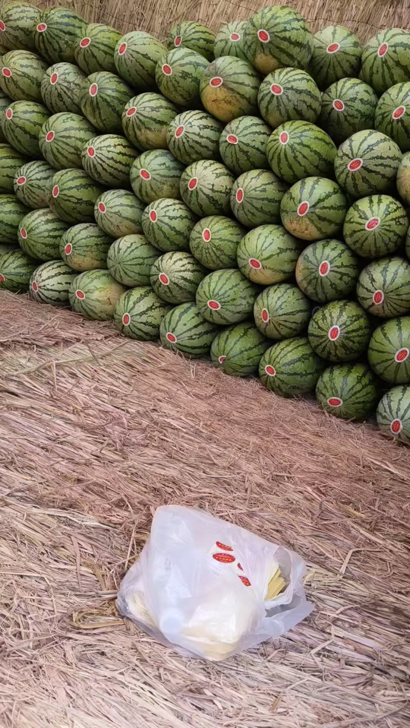 宁夏中卫硒砂瓜石头瓜个头大耐运输货源充足品质好包熟包甜