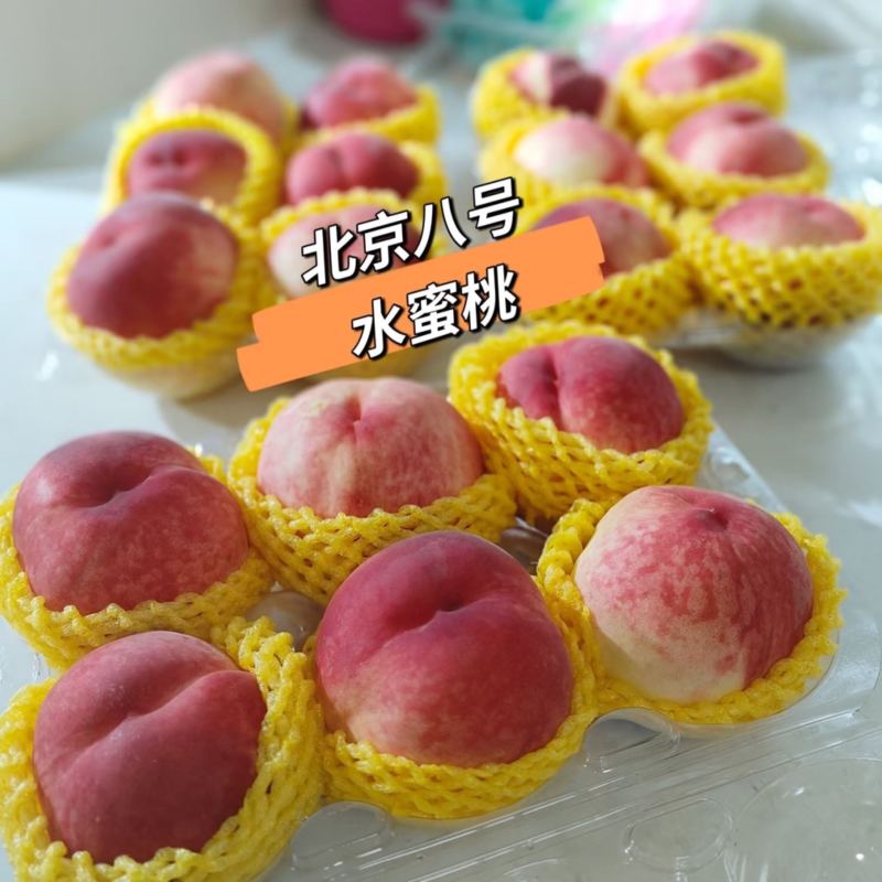 山东北京八号桃水蜜桃基地直供量大从优品质保证