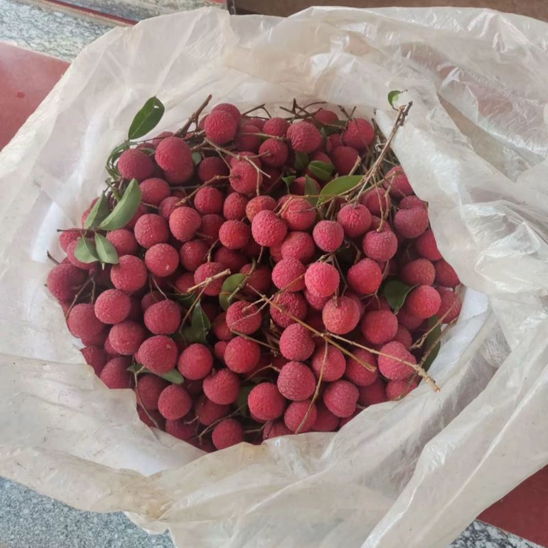 广东汕尾陆丰凤花荔枝产地直供食果统果都有可安排