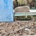 新疆库车市齐满镇齐满村大型养殖场招商引资齐满村大型养殖场