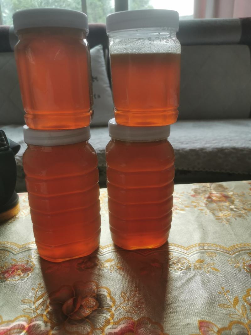 中蜂土蜂蜜