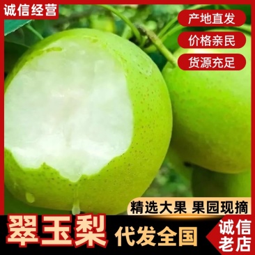 翠冠梨酥翠一号脆甜多汁核小无渣代发全国