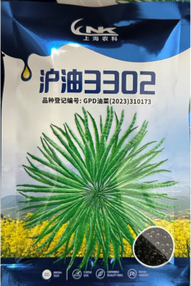 油菜种子，黑籽，厂家直发，一手货源，量大优惠，欢迎合作