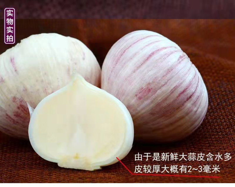 独头蒜大蒜蒜