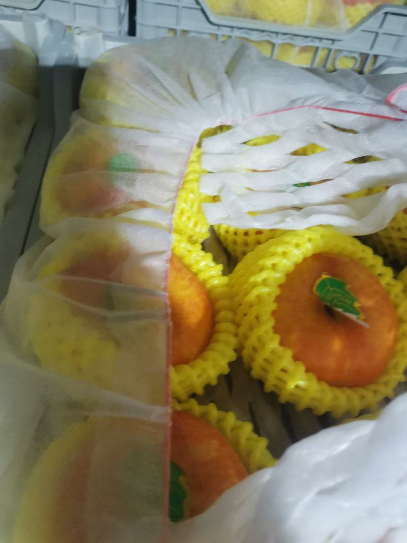 河北省邢台市广宗县陆地油蟠桃海量货源，有想法的老板通