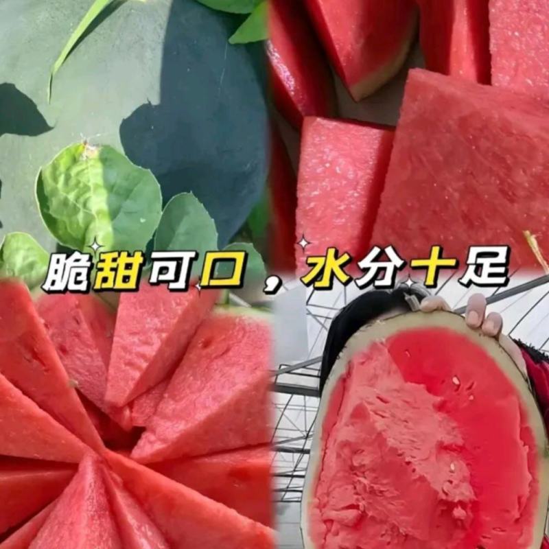 黑皮无籽西瓜，品质有保证，保熟保甜现摘现发全国发货
