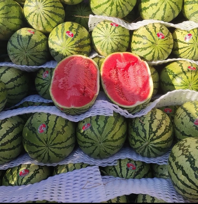 宁夏硒砂瓜，石头瓜，大量现货，保质保量，精品西瓜欢迎联系