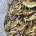黄牛肝菌(高脚葱)，精选黄牛肝菌，源产地批发属于源头批发