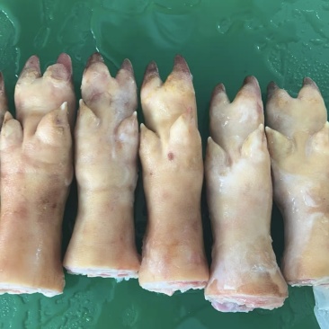 火烧猪蹄，短蹄