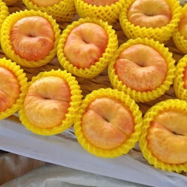 潘九