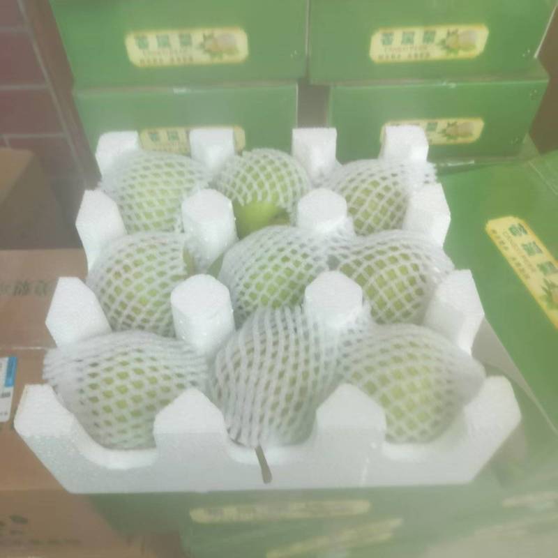 【翠冠梨】5斤/10斤装包邮发货/电商～一件代发～团购