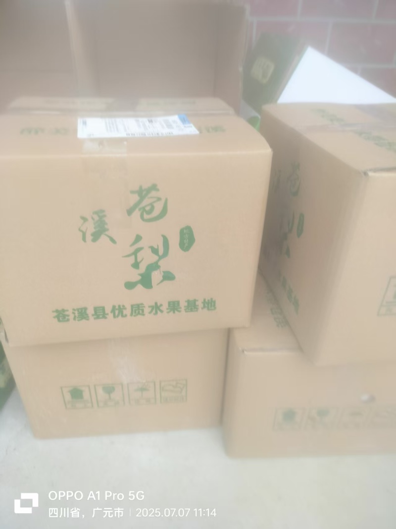 【翠冠梨】5斤/10斤装包邮发货/电商～一件代发～团购