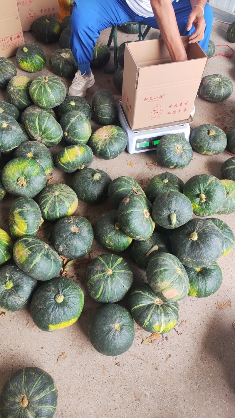 板栗南瓜