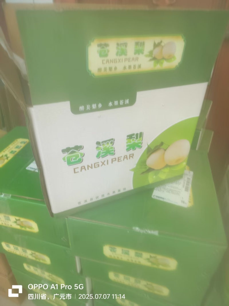 【翠冠梨】5斤/10斤装包邮发货/电商～一件代发～团购