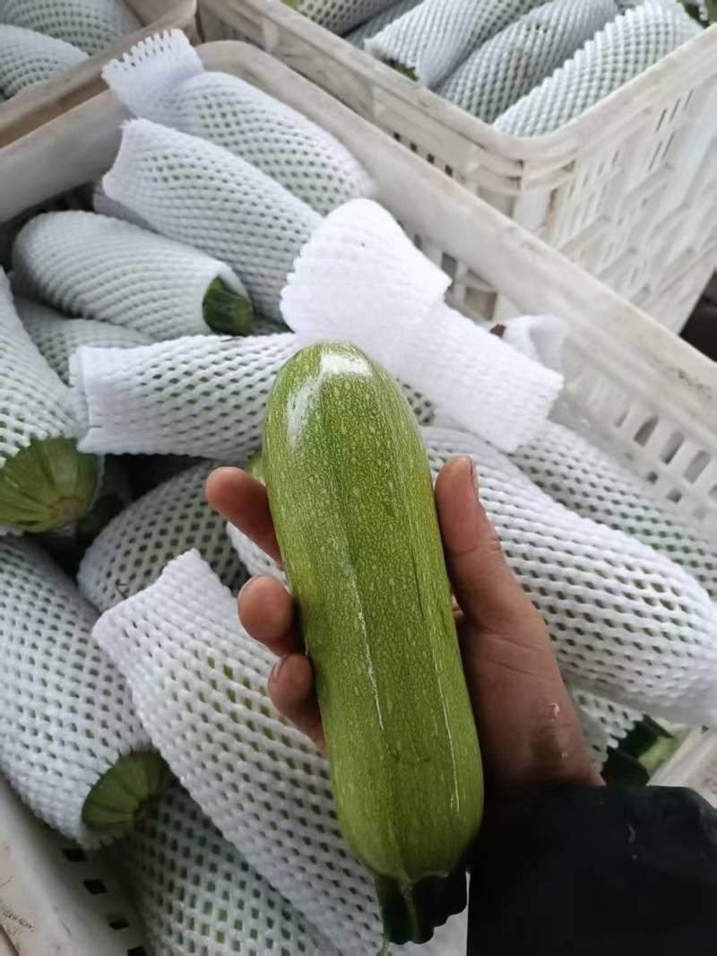 西葫芦