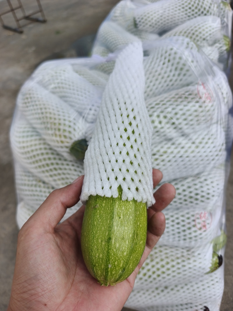 西葫芦