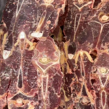 满肉牛脊骨
