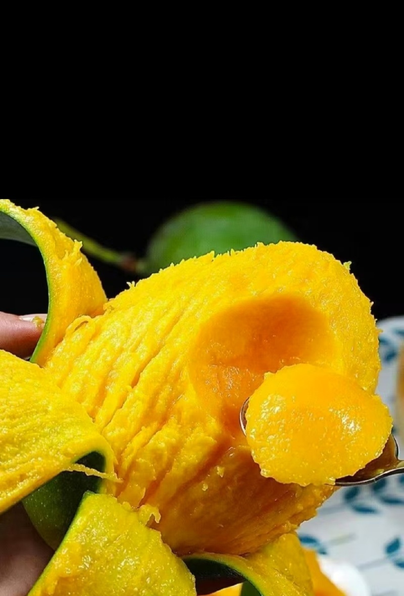 （电商一件代发）贵州小台芒金煌芒贵妃芒产地一手货源