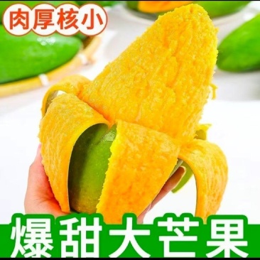 （电商一件代发）贵州小台芒金煌芒贵妃芒产地一手货源