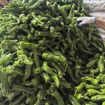 芜湖椒，薄皮椒泡椒，高山辣椒大量供应，需要联系我