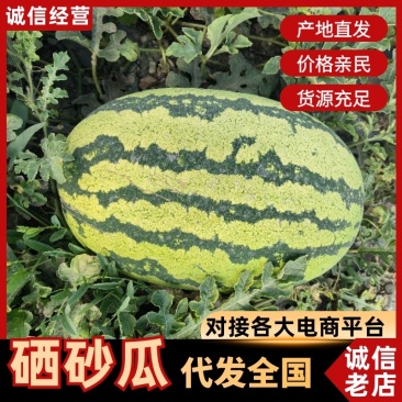 【平台推荐】宁夏硒砂瓜石头瓜产地直供保质保量