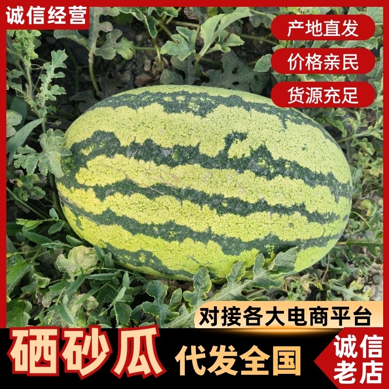 【平台推荐】宁夏硒砂瓜石头瓜产地直供保质保量