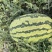 【平台推荐】宁夏硒砂瓜石头瓜产地直供保质保量