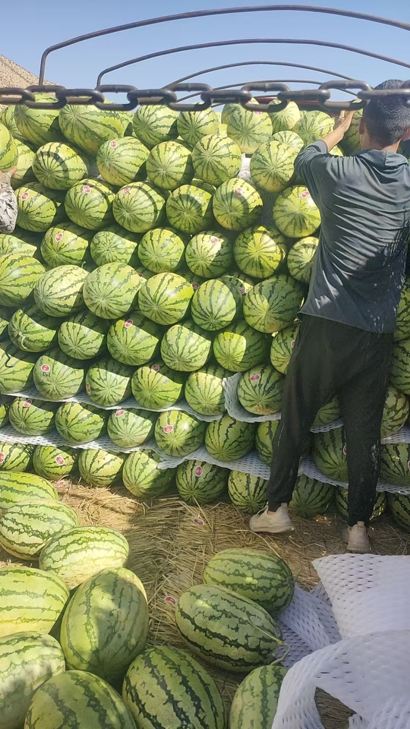 精品硒砂瓜一手货源量大质优价格实惠欢迎来电咨询采购