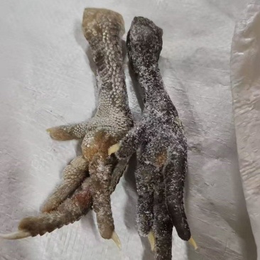 麻鸡爪规格齐全质量保证全国直发价格从优
