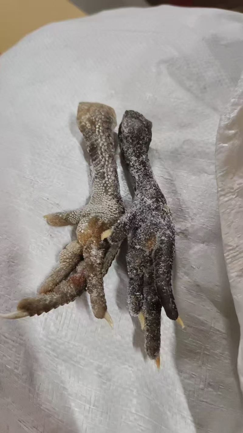 麻鸡爪规格齐全质量保证全国直发价格从优