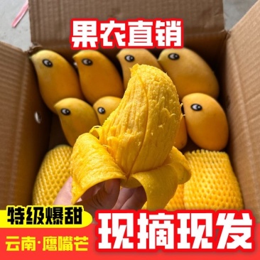 云南保山鹰嘴芒果，大量有货，欢迎订购