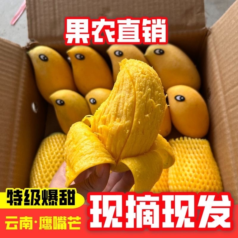云南保山鹰嘴芒果，大量有货，欢迎订购