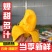 云南保山鹰嘴芒果，大量有货，欢迎订购