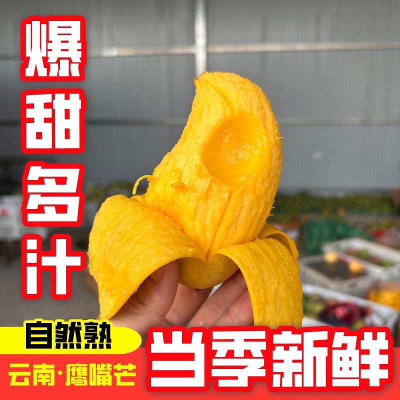 云南保山鹰嘴芒果，大量有货，欢迎订购