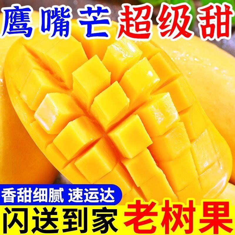 云南保山鹰嘴芒果，大量有货，欢迎订购