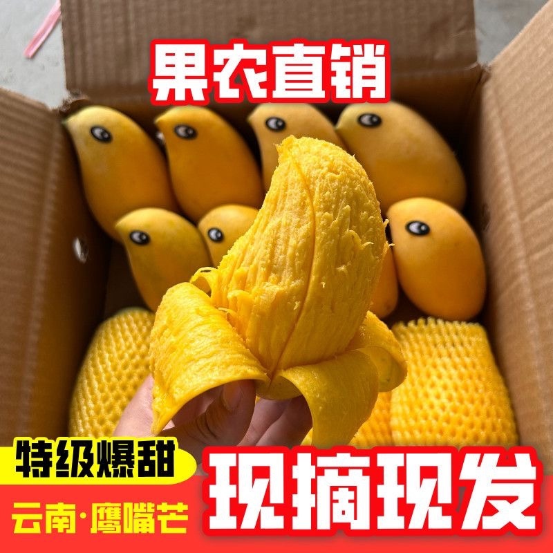 云南保山鹰嘴芒果，大量有货，欢迎订购