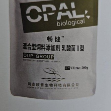 乳酸菌