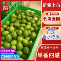 广东省香水柠檬精品柠檬水果无籽柠檬子弹头柠檬