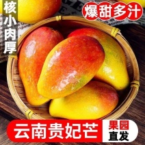 云南保山贵妃芒果，产区直供，现摘现发