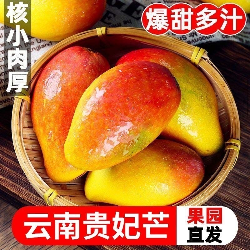 云南保山贵妃芒果，产区直供，现摘现发