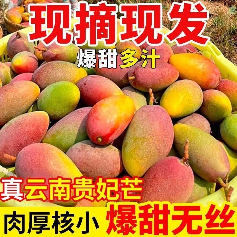 云南保山贵妃芒果，产区直供，现摘现发