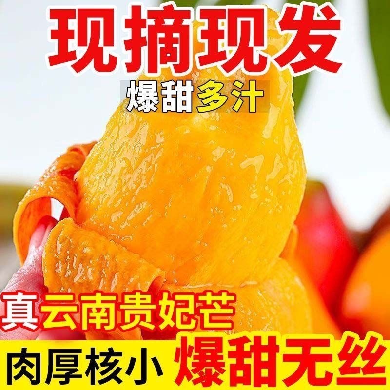 云南保山贵妃芒果，产区直供，现摘现发
