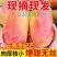 云南保山贵妃芒果，产区直供，现摘现发