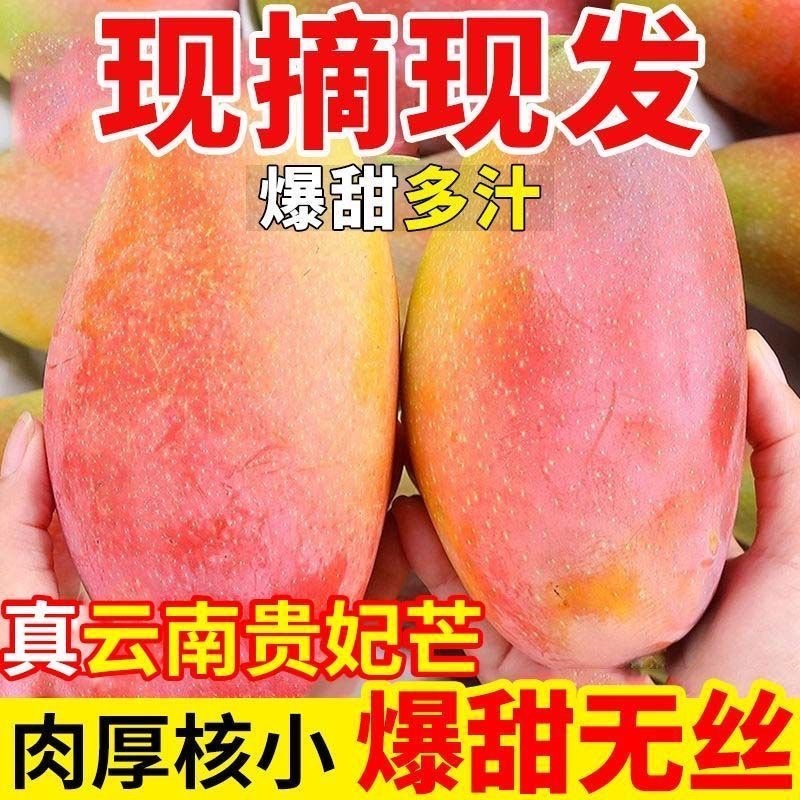云南保山贵妃芒果，产区直供，现摘现发