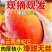 云南保山贵妃芒果，产区直供，现摘现发